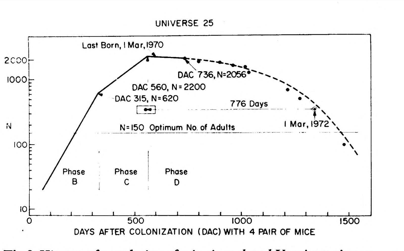A graph of the number of mice in Universe 25 against days after colonisation on a logarithmic scale, rising steeply to 2,200 at day 560, flattening, and falling along a dashed projected line to about 100 by day 1,500, with the phases B, C and D marked