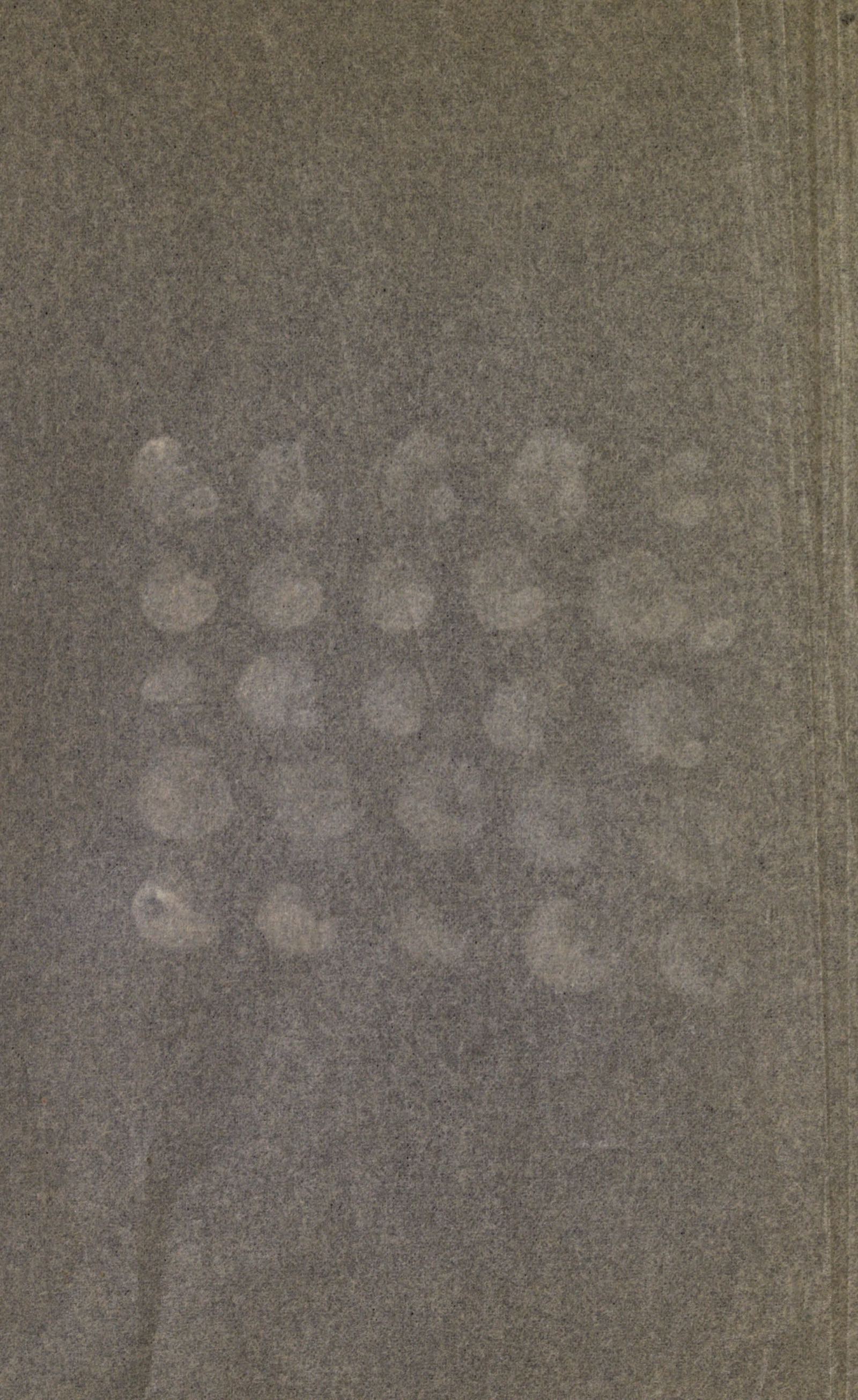 A sheet of dark grey card bearing five rows of faint pale spots, about thirty in all, each the size of a fingertip