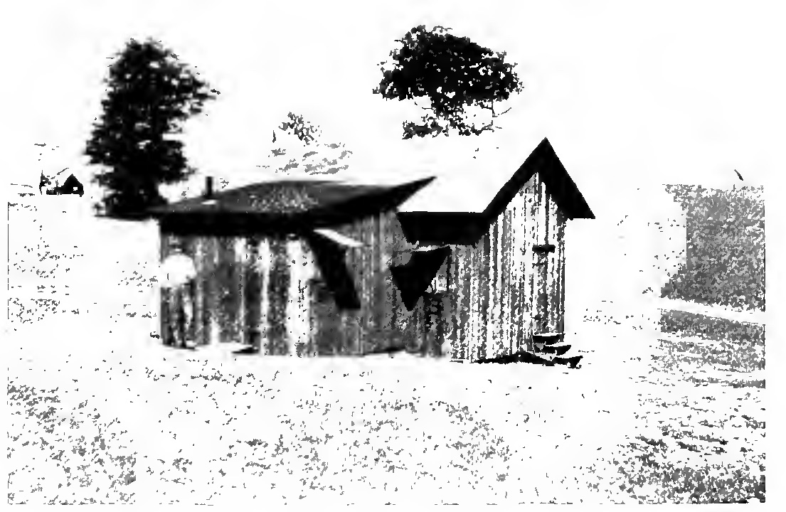 A small board hut with a pitched roof and a projecting vestibule standing alone in a rough field, with trees behind and a man standing at its left end