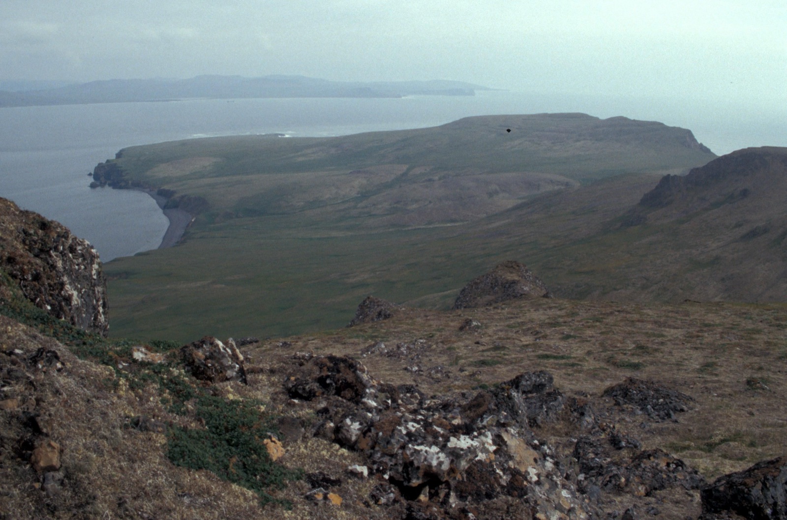 A view from a rocky ridge on Hall Island across green tundra to the sea, with the long coast of St. Matthew Island on the horizon
