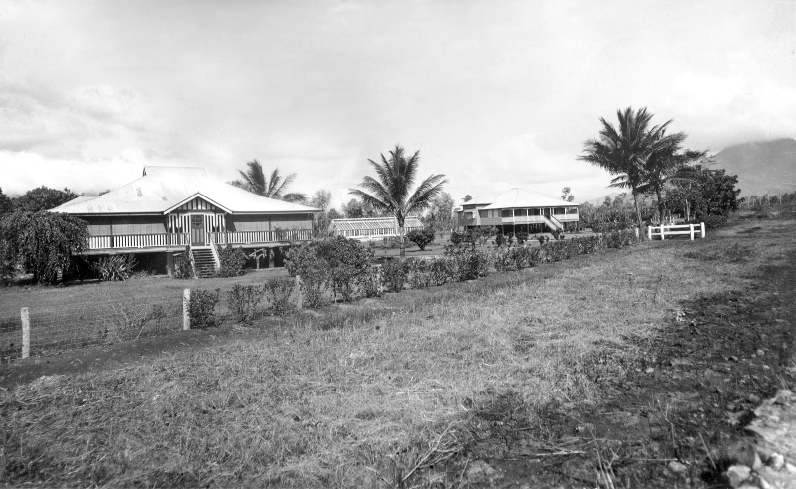 Two timber laboratory buildings on stumps with verandahs, a glasshouse between them and palm trees, behind a wire fence and a hedge, with mountains in cloud beyond